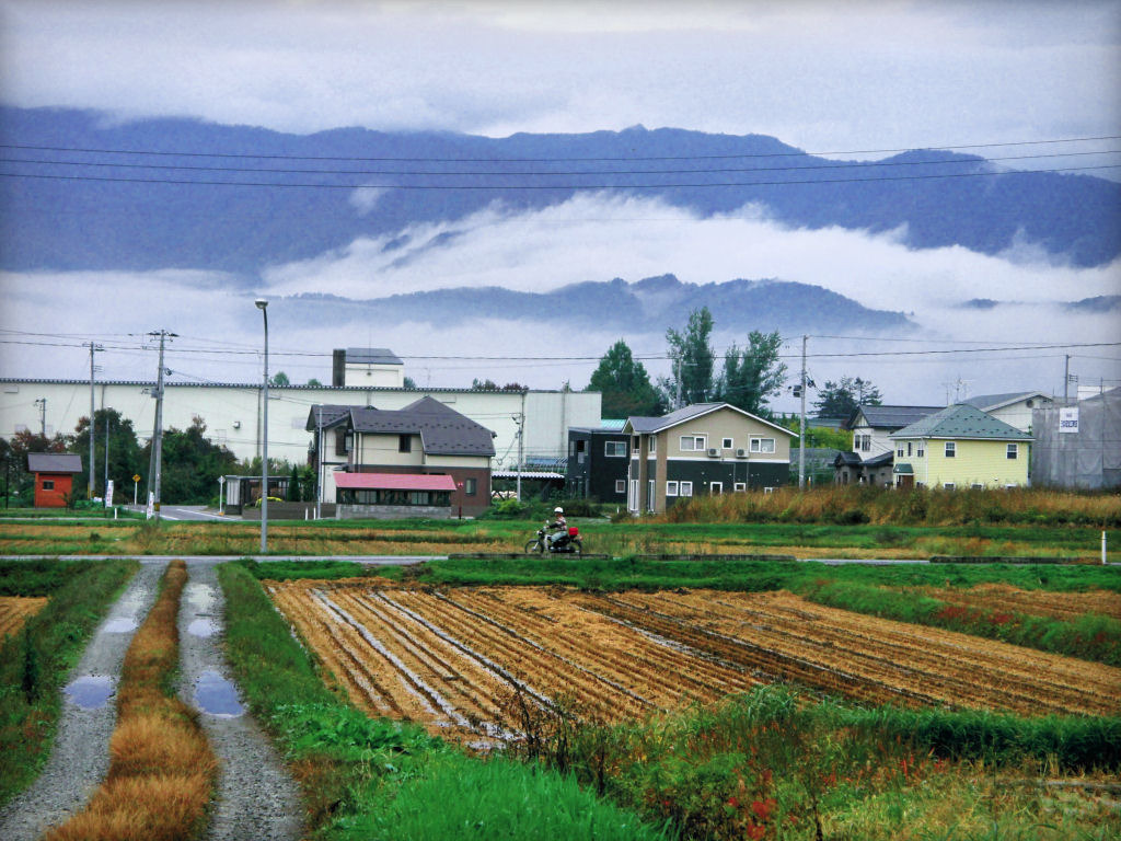 雨上がりに