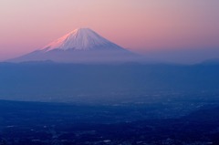 紅富士