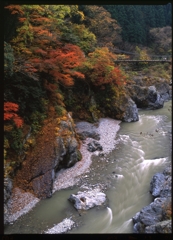 鳩ノ巣渓谷の紅葉