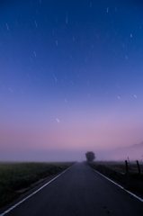 夜明け　沈む星