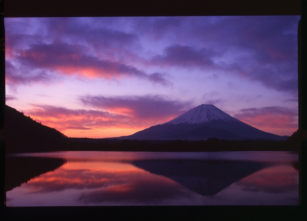 精進湖の朝