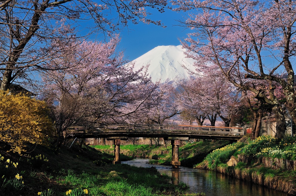 忍野の景色