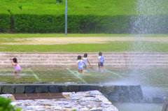水辺の天使たち