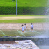 水辺の天使たち