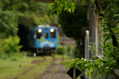 新緑の清流鉄道