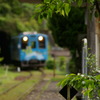 新緑の清流鉄道