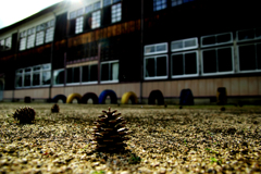 松ぼっくりと木造校舎