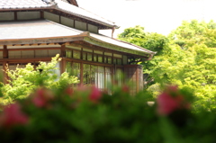 長府庭園　書院