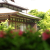 長府庭園　書院