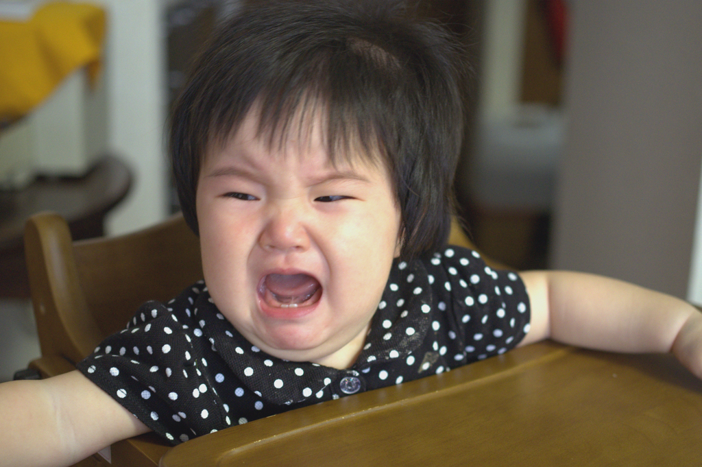 姪っ子の歯が2本