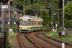 グリーンライナー