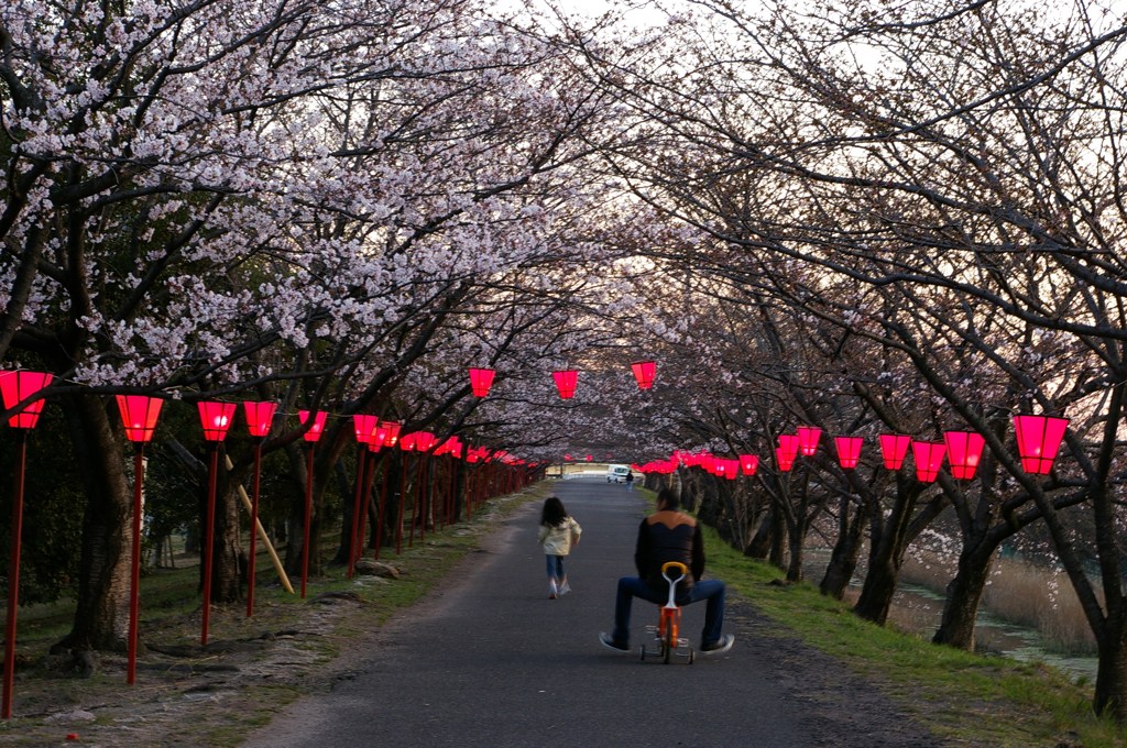 さんぽですね。