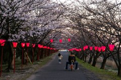 さんぽですね。