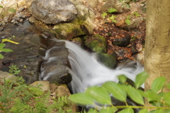 後楽園　花交の滝
