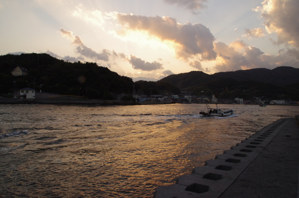 帰港