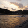 帰港