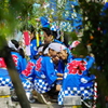 そっと覗いて見てごらん。。（junites unoさん協賛ｼﾘｰｽﾞ第2弾　秋祭