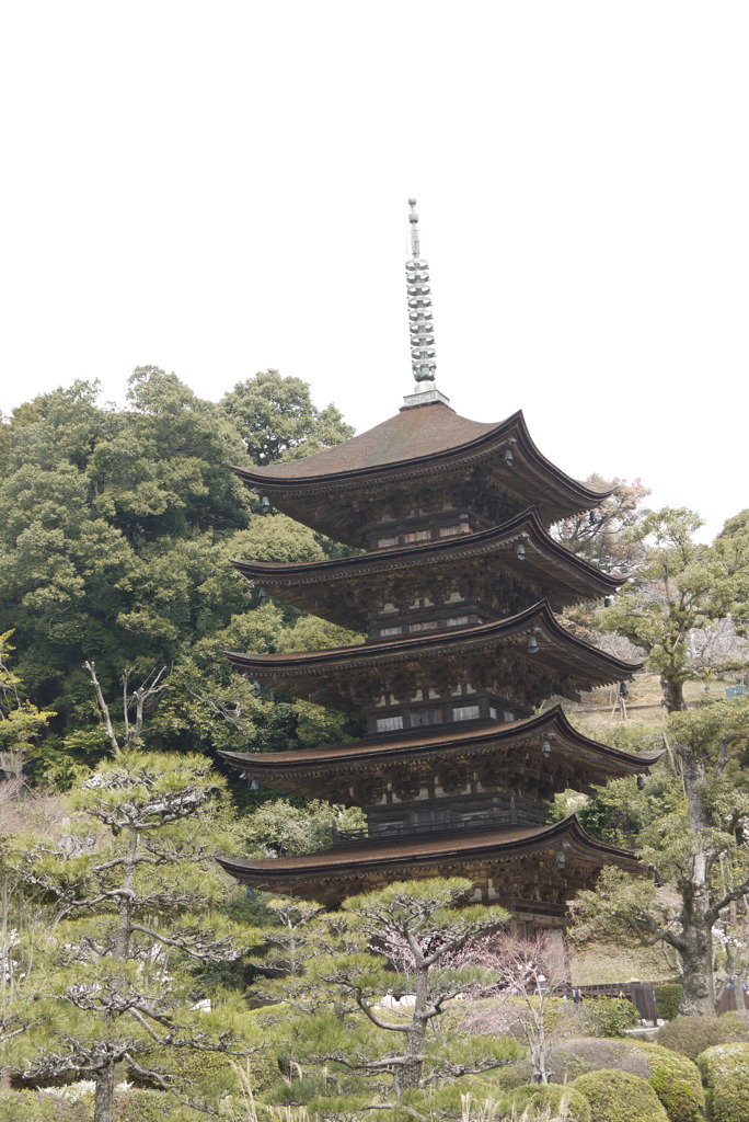 西の京