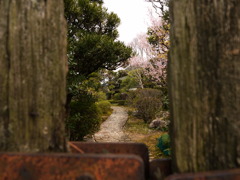 この向こうには