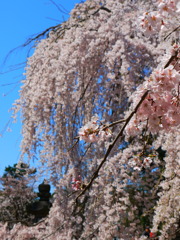花水流
