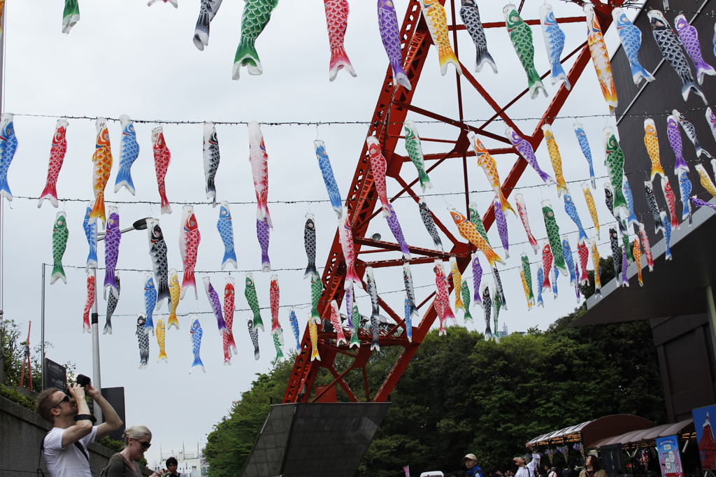 Carp streamer