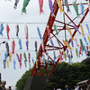 Carp streamer
