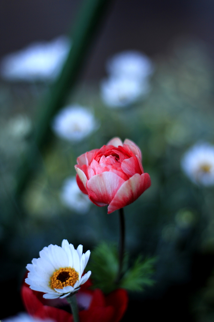 VERMILION