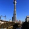 東京スカイツリー