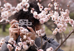 梅写真家