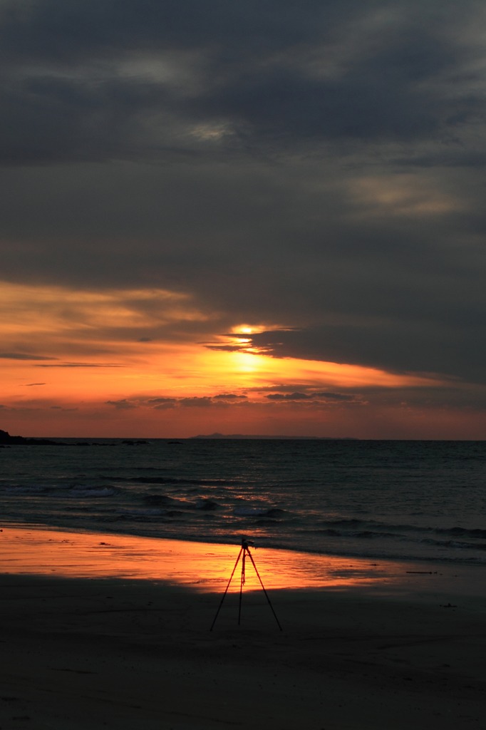 夕陽に佇む・・・三脚