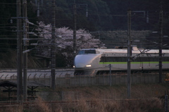 新幹線です。