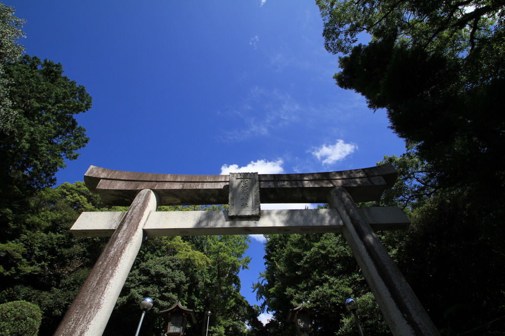 大空と鳥居