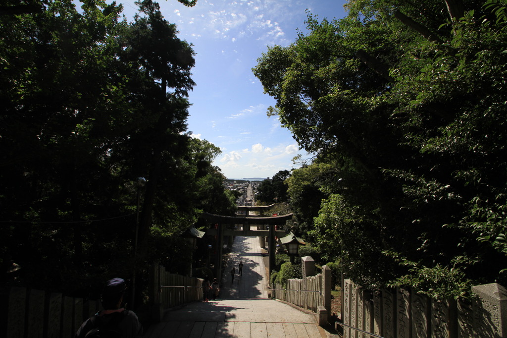 海へ一直線