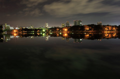 公園からの夜景