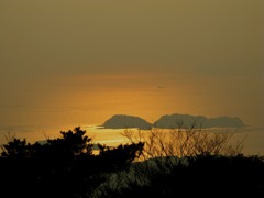 きんいろの海