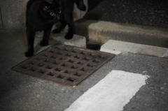 側溝の蓋