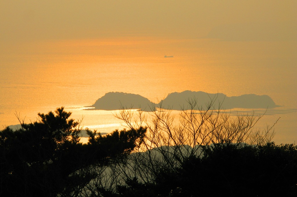 黄金いろのうみ