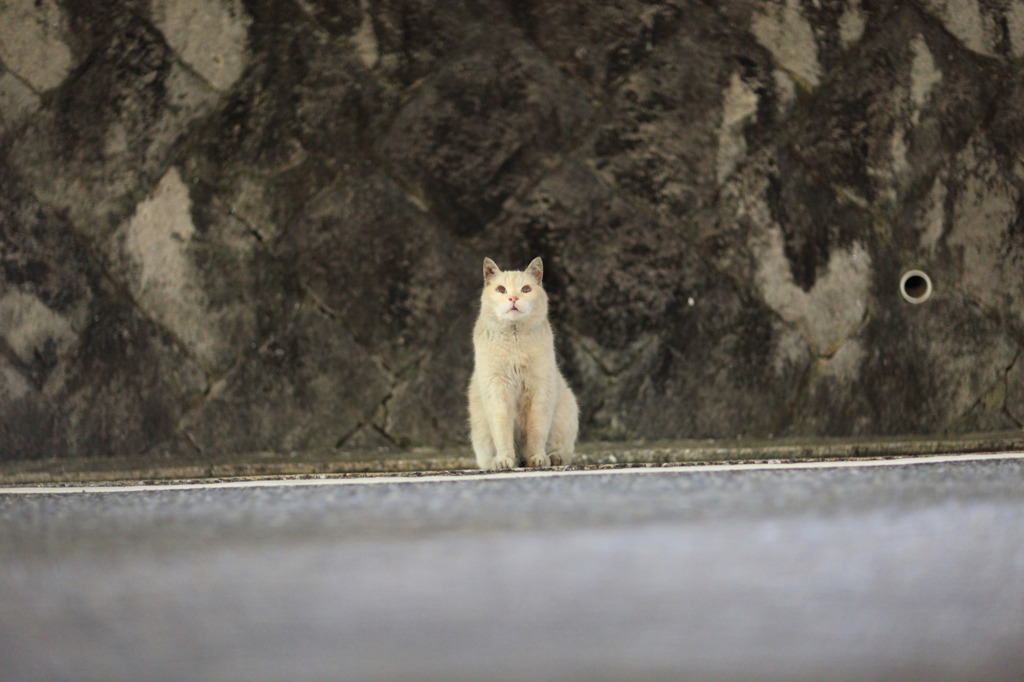 そこからはどんな空が見える？