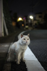 強く生き抜く