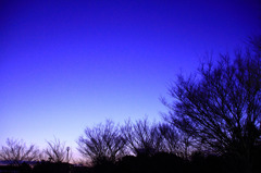 また明日ね・・・。