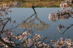 水鏡