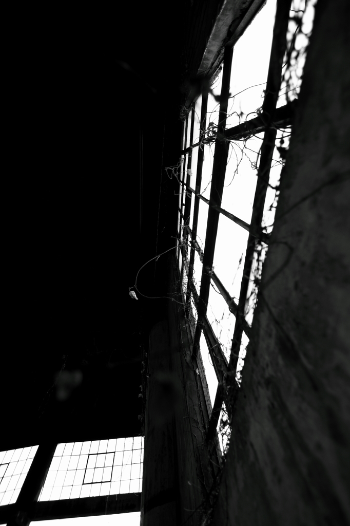 記憶と枠だけが残った