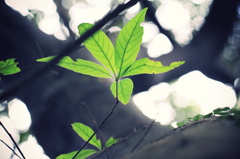 傷ついても大きくなるよ