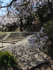 春の公園