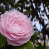 R0015192