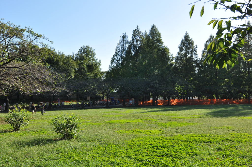 近所の公園