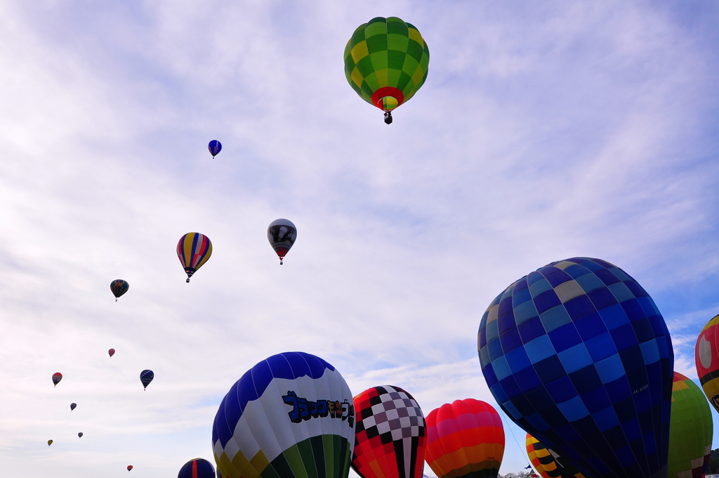 Hot Air Balloon Festival