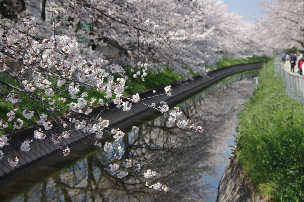 pentax k-7 043