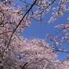 RICOH GR 006