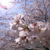RICOH GR 013